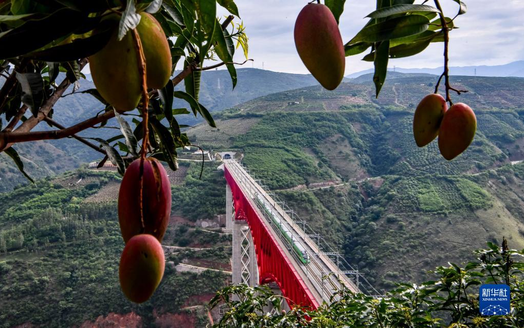 图片.png 图片.png