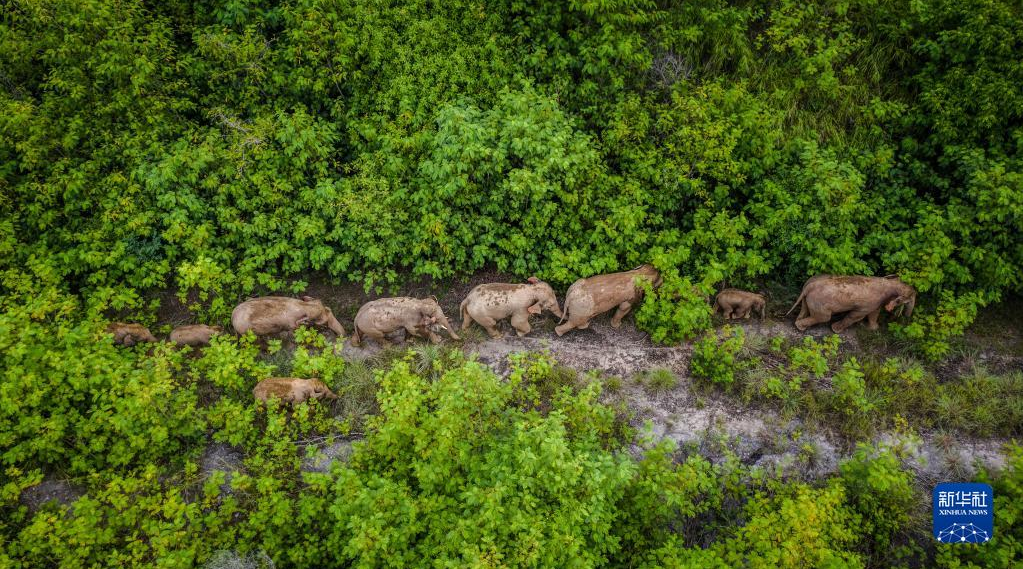 图片.png 图片.png