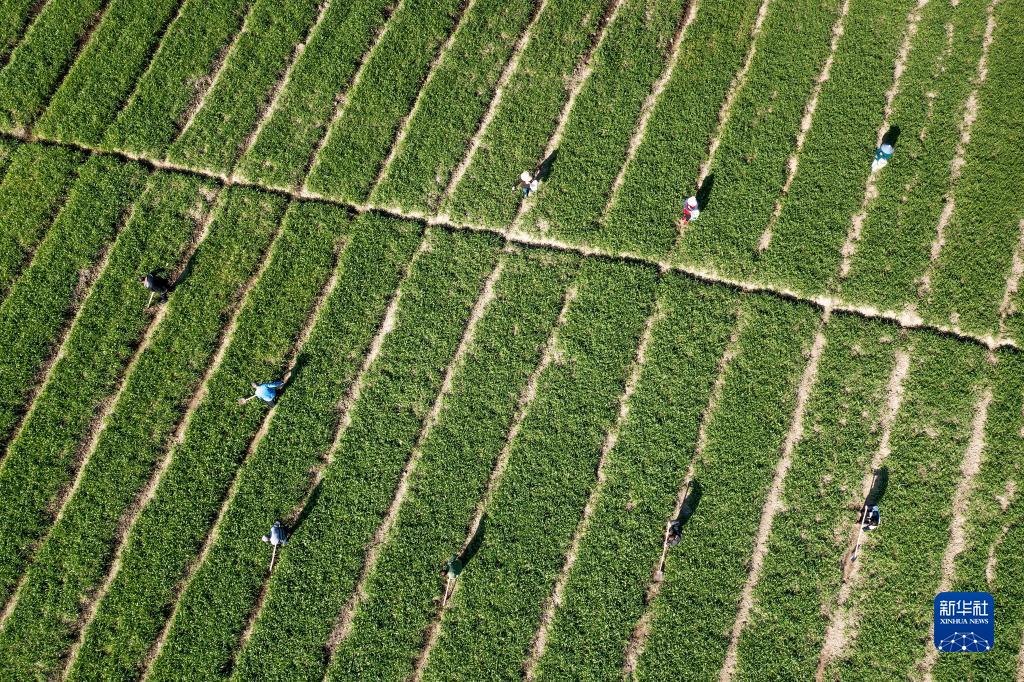 微信图片_20230304172925.jpg 微信图片_20230304172925.jpg