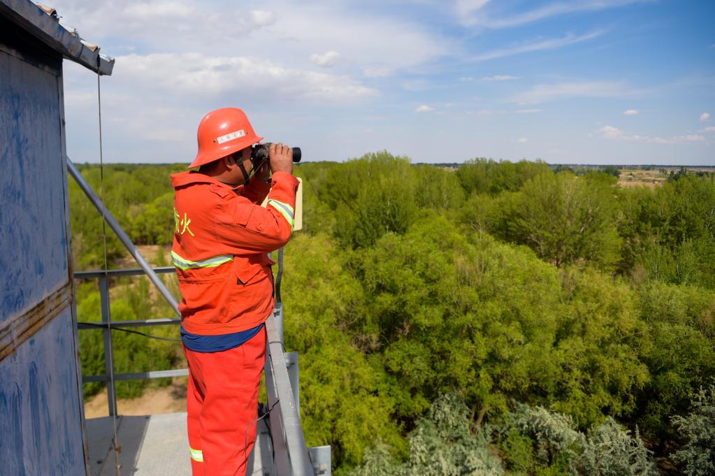 e754227a52856f68ab651d71d9e97d91_1129683008_16863176945971n.jpg e754227a52856f68ab651d71d9e97d91_1129683008_16863176945971n.jpg